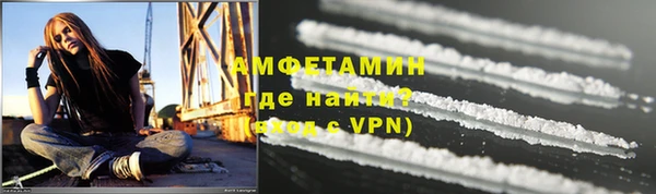 гашик Няндома