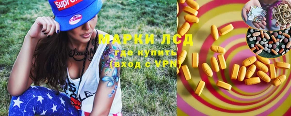 мяу мяу мука Дмитриев