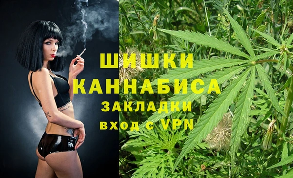 мяу мяу мука Дмитриев