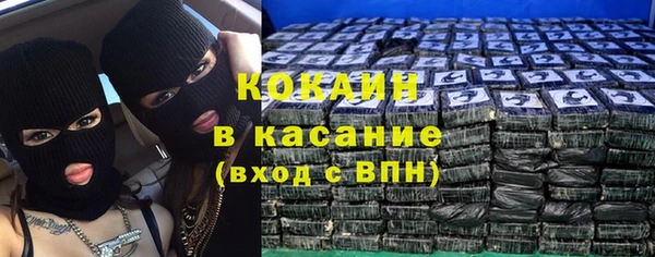 мяу мяу мука Дмитриев