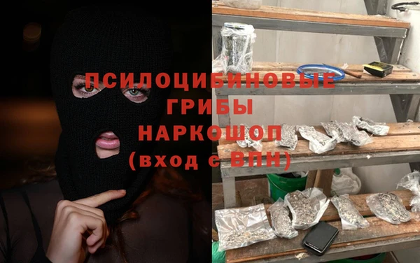 стафф Дмитров