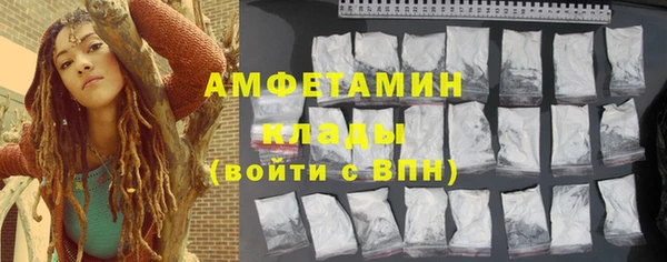 гашик Няндома
