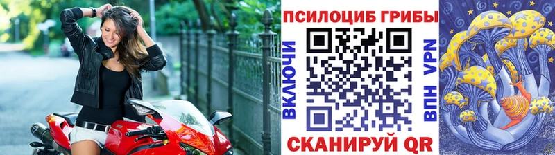 Галлюциногенные грибы Cubensis  где найти наркотики  Ирбит 